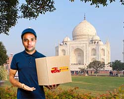 packers movers agra